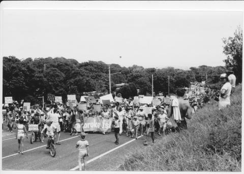 Anti bridge protest march down Mooloomba Road Point Lookout.  