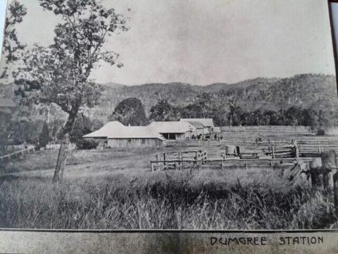 Black and white photograph of the Dumgree Homestead, outbuildings, and stockyards.  The buildings are all single-storey, rough timber with corrugated iron roofs.  Bob Fry from the Gladstone - Banana mail coach is changing his horses over in fenced paddock near the sheds.