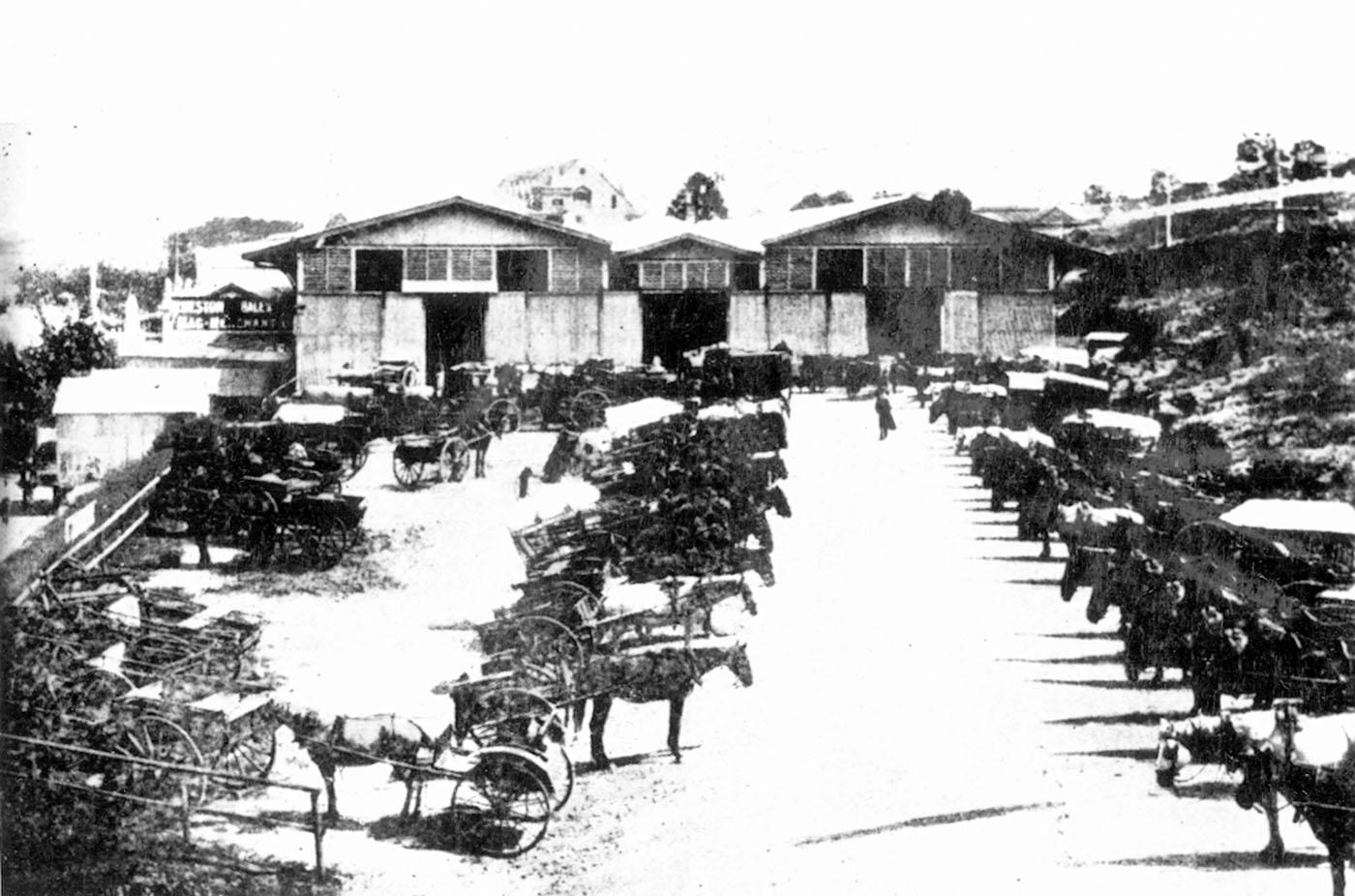 Old Roma Street Markets with horses and carriages in front