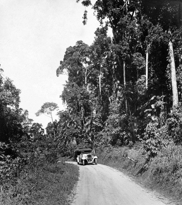 An old ford driving through lush tropical trainforest