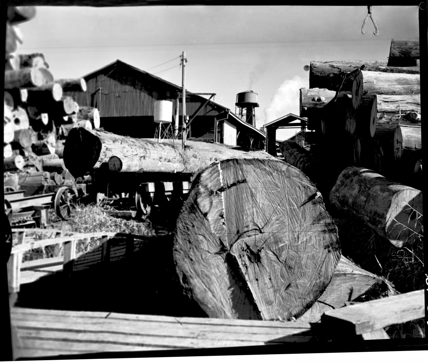 QSA DID 3033: Logs from Fraser Island at Hynes & Son sawmill, Maryborough, 11 July 1967
