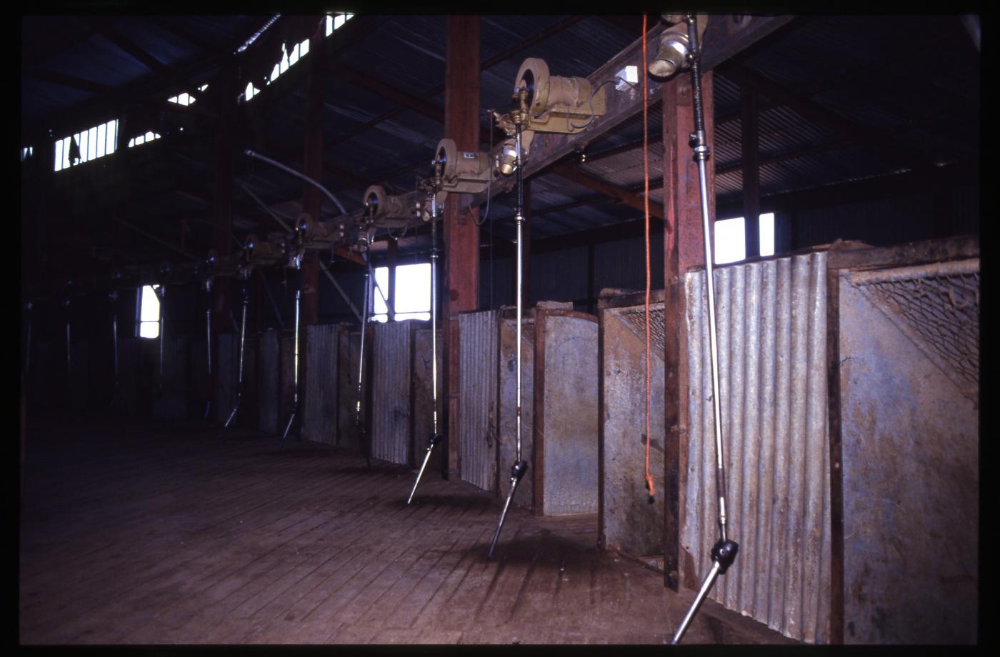 Woolshed, Isis Downs: interior
