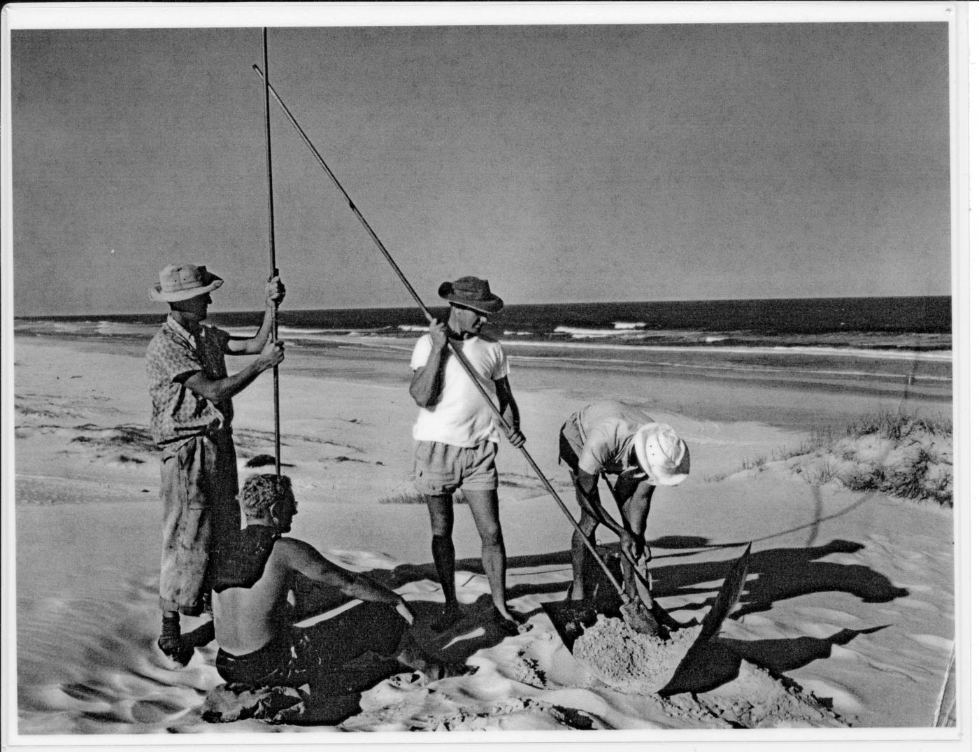 Group of four men working on an ocean beach. Two men are standing, one is sitting and one is bending over handling an implement. The one standing is holding a very long handled post-hole digger and the other standing man holds a long metal rod with the base obscured by the seated figure.