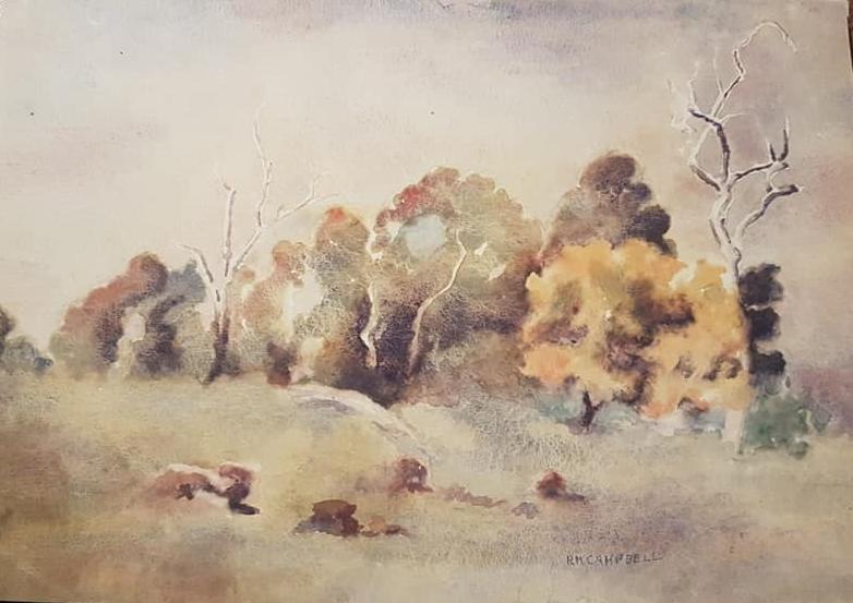 Watercolour painting of a landscape featuring a yellow-flowered wattle tree at far right.  There is a collection of other trees at the rear of the image, with a green grassy slope and rocks to be seen in the foreground.  The signature RM Campbell is at lower right of image.